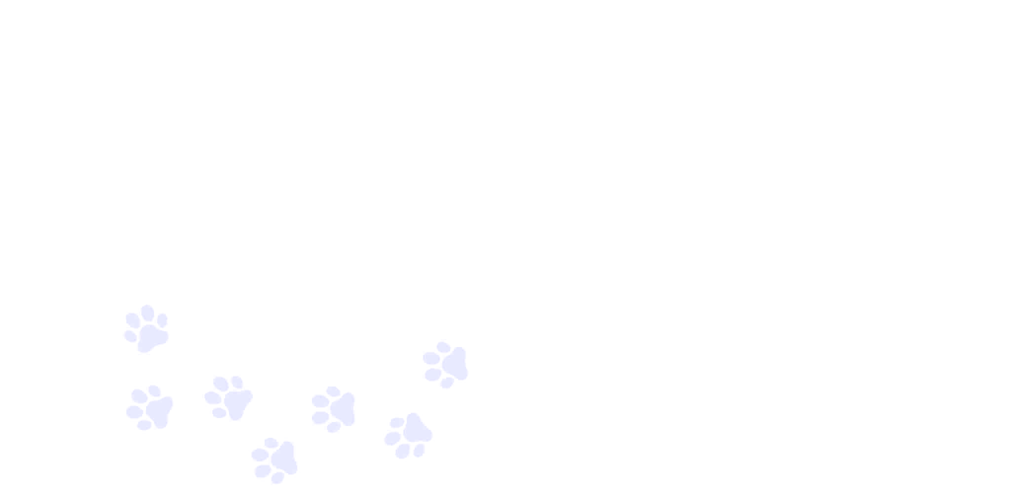 epicpaws-slider-bg-paws1